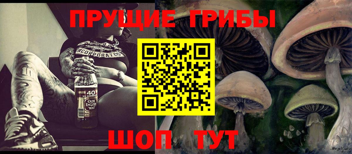Псилоцибиновые грибы мухоморы  Галлюциногенные грибы Psilocybine cubensis  Красноперекопск  Вход с VPN 