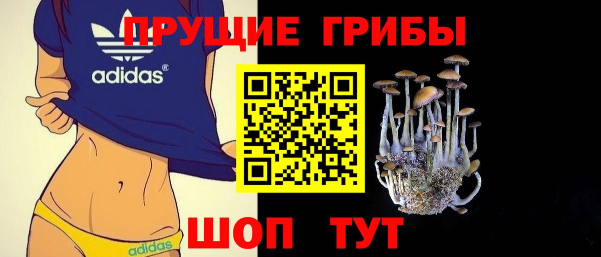 Галлюциногенные грибы Psilocybine cubensis Красноперекопск